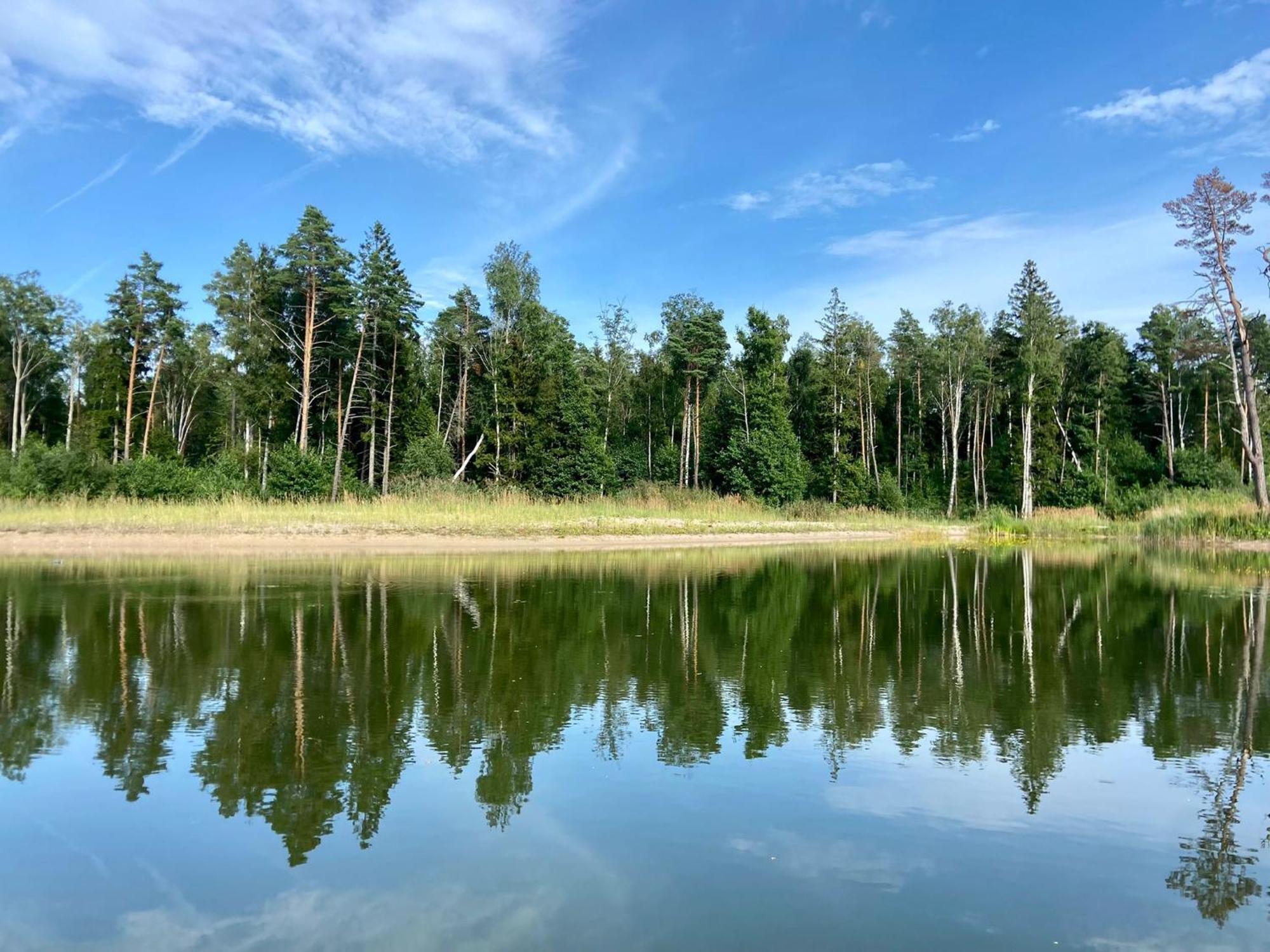 Metsaraeaegu Wellness Villa Ulendi Buitenkant foto